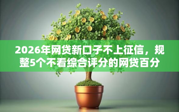 2026年网贷新口子不上征信，规整5个不看综合评分的网贷百分百下款口子