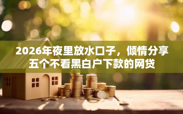 2026年夜里放水口子，倾情分享五个不看黑白户下款的网贷