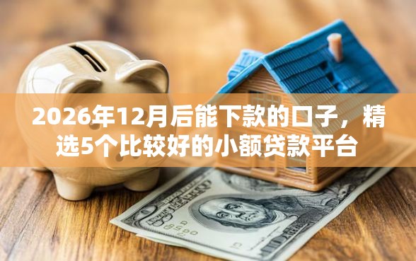 2026年12月后能下款的口子，精选5个比较好的小额贷款平台
