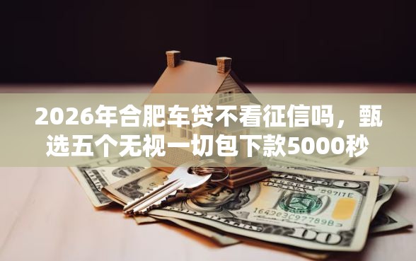 2026年合肥车贷不看征信吗，甄选五个无视一切包下款5000秒下款的平台