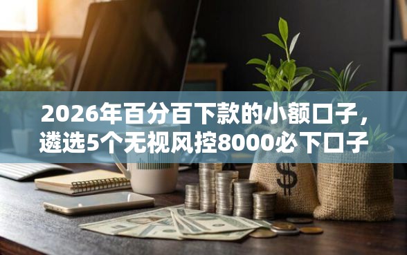 2026年百分百下款的小额口子，遴选5个无视风控8000必下口子