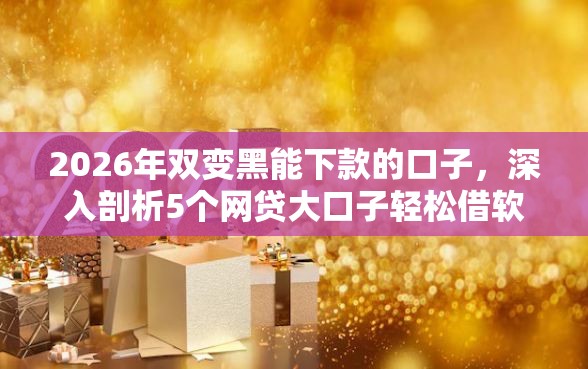 2026年双变黑能下款的口子，深入剖析5个网贷大口子轻松借软件