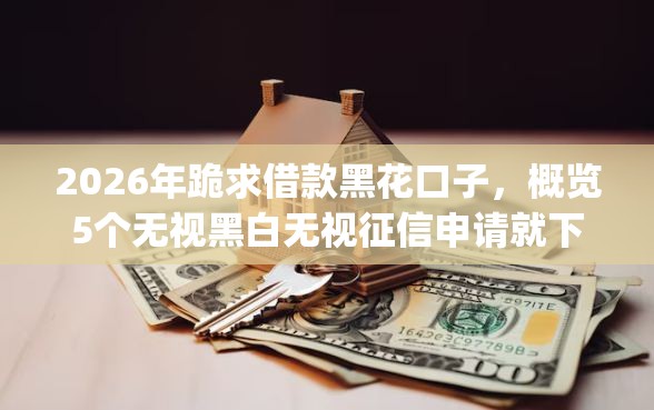 2026年跪求借款黑花口子，概览5个无视黑白无视征信申请就下款的app