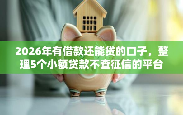 2026年有借款还能贷的口子，整理5个小额贷款不查征信的平台