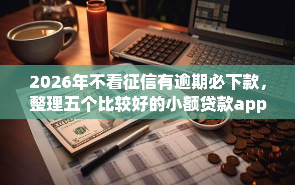 2026年不看征信有逾期必下款，整理五个比较好的小额贷款app