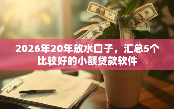 2026年20年放水口子，汇总5个比较好的小额贷款软件