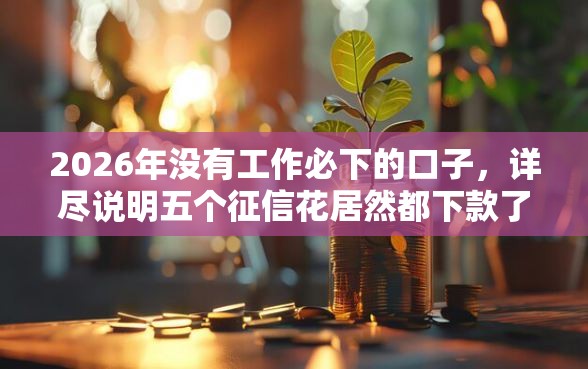 2026年没有工作必下的口子，详尽说明五个征信花居然都下款了的平台