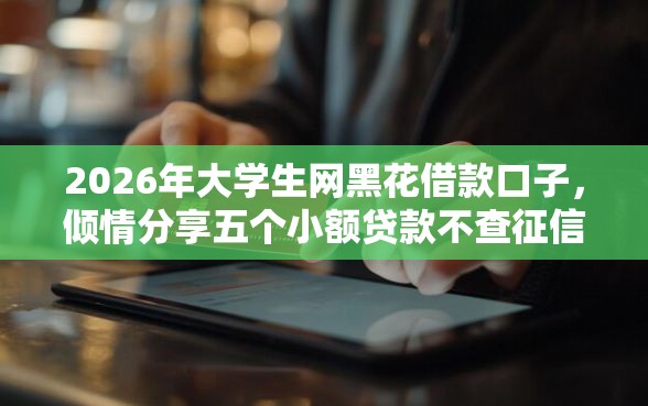 2026年大学生网黑花借款口子，倾情分享五个小额贷款不查征信的口子