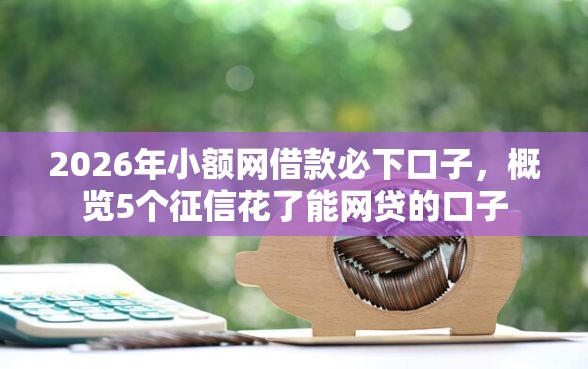 2026年小额网借款必下口子，概览5个征信花了能网贷的口子