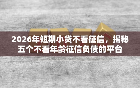 2026年短期小贷不看征信，揭秘五个不看年龄征信负债的平台