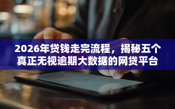 2026年贷钱走完流程，揭秘五个真正无视逾期大数据的网贷平台