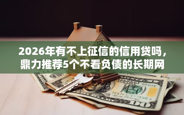 2026年有不上征信的信用贷吗，鼎力推荐5个不看负债的长期网贷软件