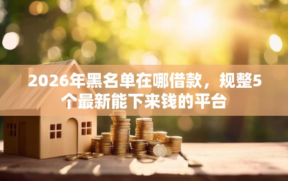 2026年黑名单在哪借款，规整5个最新能下来钱的平台