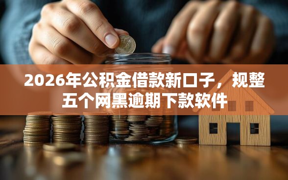 2026年公积金借款新口子，规整五个网黑逾期下款软件