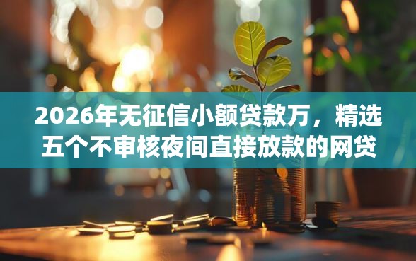 2026年无征信小额贷款万，精选五个不审核夜间直接放款的网贷app