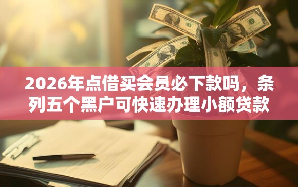 2026年点借买会员必下款吗，条列五个黑户可快速办理小额贷款业务的软件