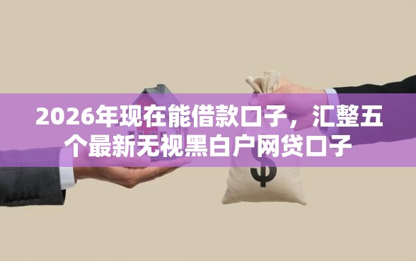 2026年现在能借款口子，汇整五个最新无视黑白户网贷口子