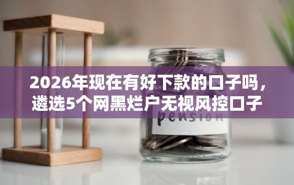 2026年现在有好下款的口子吗，遴选5个网黑烂户无视风控口子