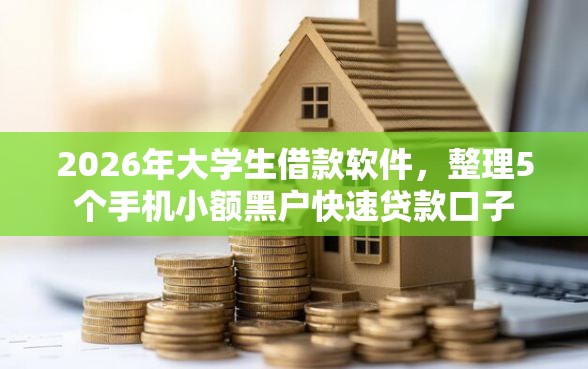 2026年大学生借款软件，整理5个手机小额黑户快速贷款口子