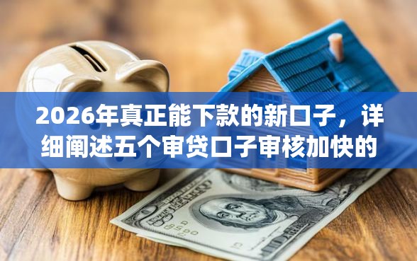 2026年真正能下款的新口子，详细阐述五个审贷口子审核加快的app