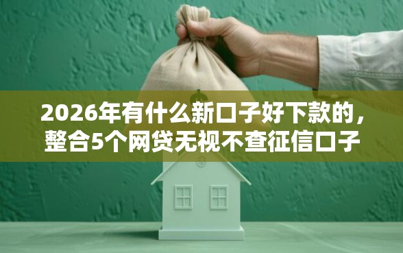 2026年有什么新口子好下款的，整合5个网贷无视不查征信口子