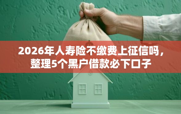 2026年人寿险不缴费上征信吗，整理5个黑户借款必下口子