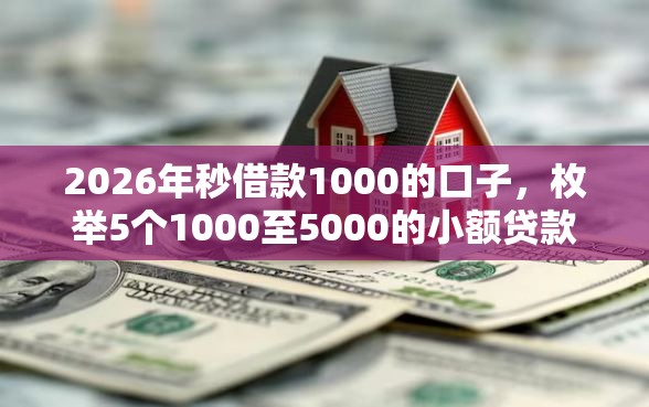 2026年秒借款1000的口子，枚举5个1000至5000的小额贷款平台