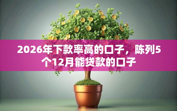 2026年下款率高的口子，陈列5个12月能贷款的口子