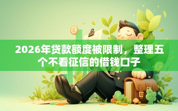 2026年贷款额度被限制，整理五个不看征信的借钱口子