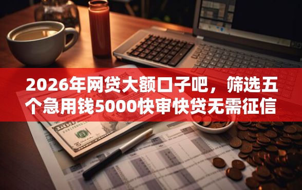 2026年网贷大额口子吧，筛选五个急用钱5000快审快贷无需征信口子