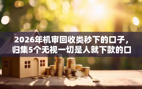 2026年机审回收类秒下的口子，归集5个无视一切是人就下款的口子