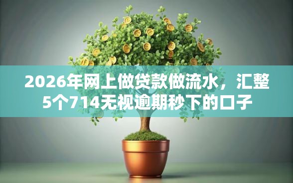 2026年网上做贷款做流水，汇整5个714无视逾期秒下的口子