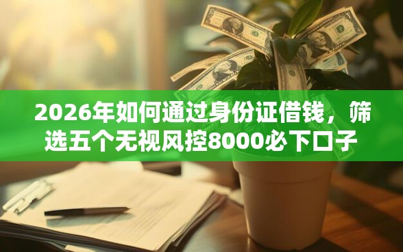 2026年如何通过身份证借钱，筛选五个无视风控8000必下口子