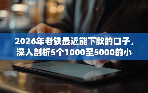 2026年老铁最近能下款的口子，深入剖析5个1000至5000的小额贷款app