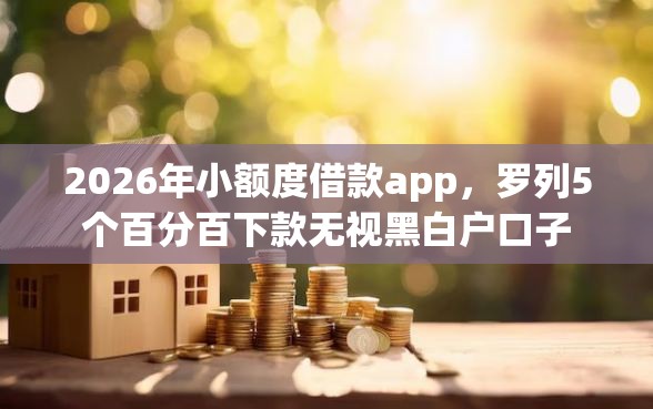 2026年小额度借款app，罗列5个百分百下款无视黑白户口子