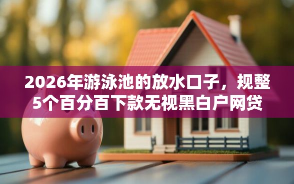 2026年游泳池的放水口子，规整5个百分百下款无视黑白户网贷
