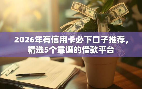 2026年有信用卡必下口子推荐，精选5个靠谱的借款平台
