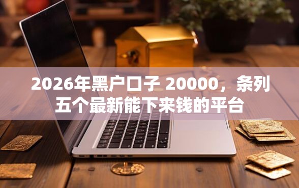 2026年黑户口子 20000，条列五个最新能下来钱的平台