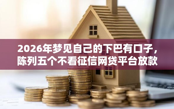 2026年梦见自己的下巴有口子，陈列五个不看征信网贷平台放款快的口子