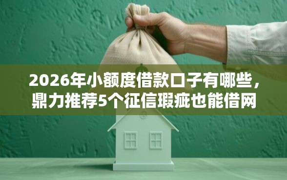 2026年小额度借款口子有哪些，鼎力推荐5个征信瑕疵也能借网贷轻松下款的平台