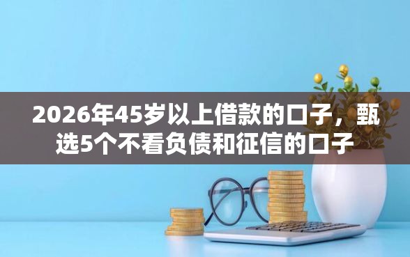 2026年45岁以上借款的口子，甄选5个不看负债和征信的口子