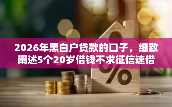 2026年黑白户贷款的口子，细致阐述5个20岁借钱不求征信速借软件