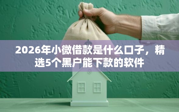 2026年小微借款是什么口子，精选5个黑户能下款的软件