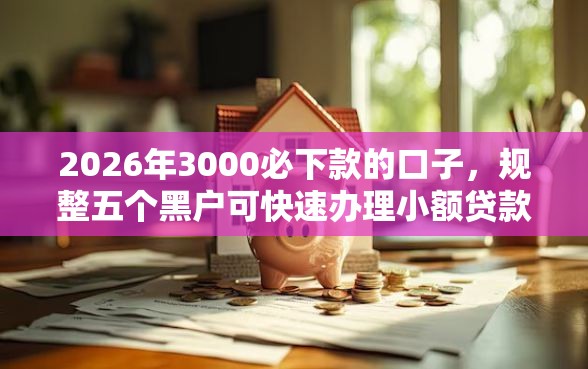 2026年3000必下款的口子，规整五个黑户可快速办理小额贷款业务的平台
