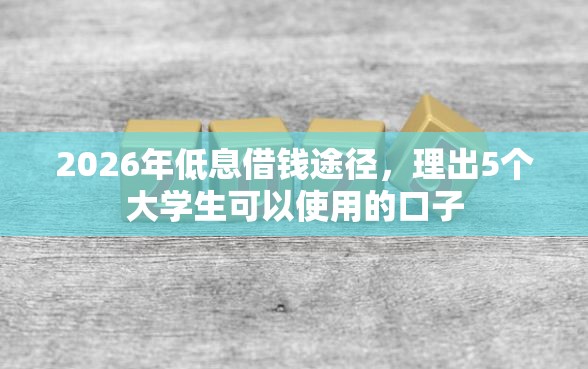 2026年低息借钱途径，理出5个大学生可以使用的口子