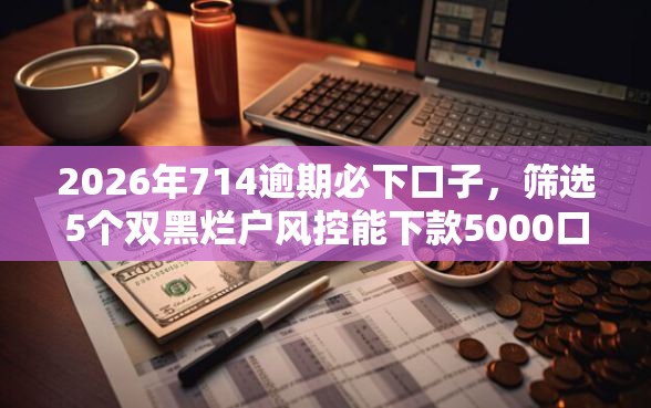 2026年714逾期必下口子，筛选5个双黑烂户风控能下款5000口子