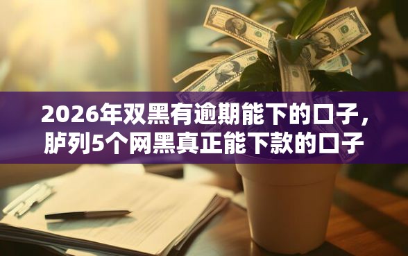 2026年双黑有逾期能下的口子，胪列5个网黑真正能下款的口子