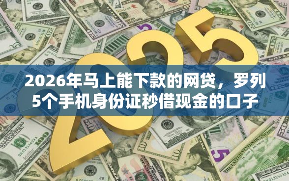 2026年马上能下款的网贷，罗列5个手机身份证秒借现金的口子