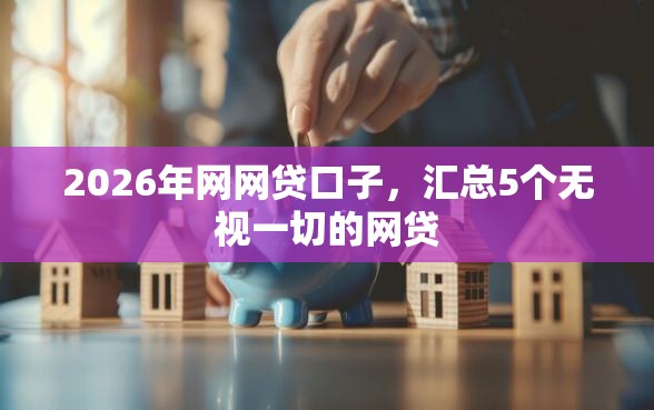 2026年网网贷口子，汇总5个无视一切的网贷