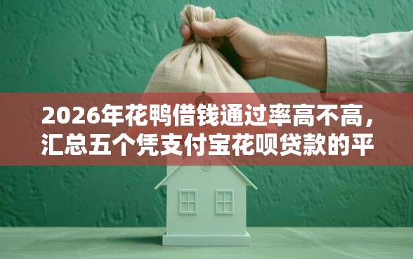 2026年花鸭借钱通过率高不高，汇总五个凭支付宝花呗贷款的平台